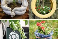 50 Plant Display Ideas: DIY Projects and Product Picks