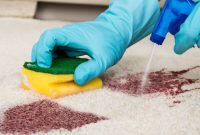 Homemade Oxygen Booster for Spotless Cleaning