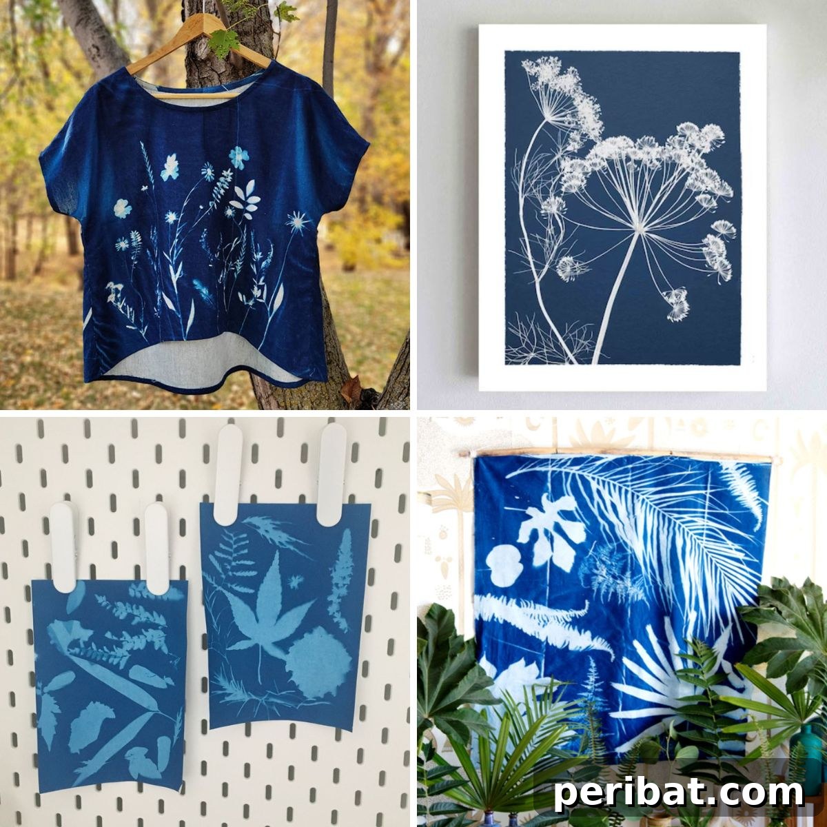 featured 160646