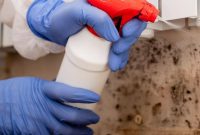 Effortless DIY Hack to Banish Household Mold