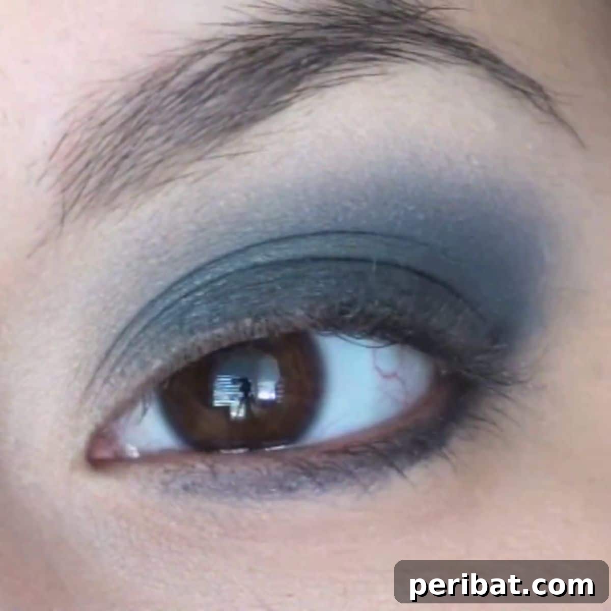 featured 1646