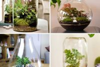 DIY Terrariums: 44 Captivating Miniature Gardens