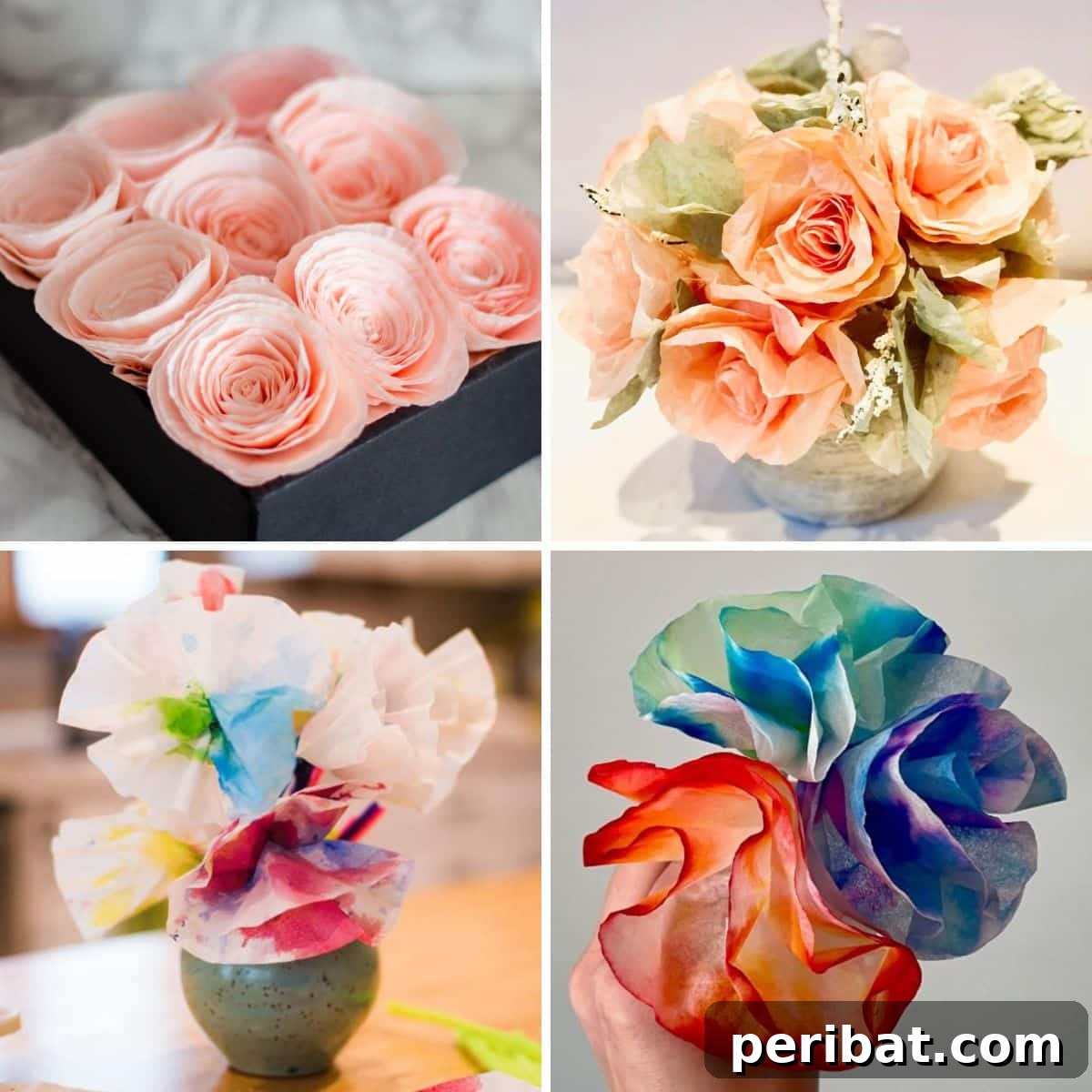 featured 175398