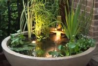 Effortless Patio Water Garden Setup
