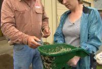 Lush Lawn Revival: Simple Tricks to Eliminate Weeds and Bare Spots
