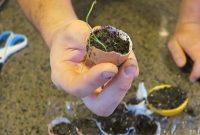 Transform Your Garden: 6 Simple Hacks for Every Skill Level