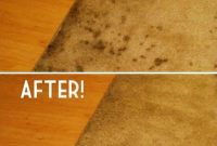 Ultimate DIY Carpet Cleaning Guide