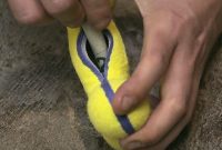7 Brilliant Hiding Spots Thieves Overlook for Your Valuables