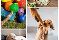 Homemade Happiness: Clever DIY Dog Toys Your Pup Will Love