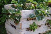DIY Strawberry Pallet Planters from Upcycled Pallets