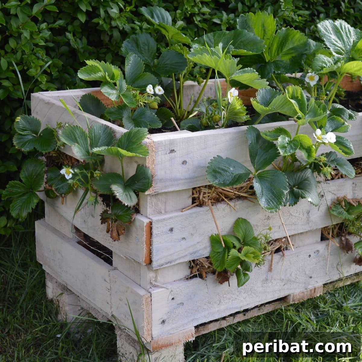 featured 21975