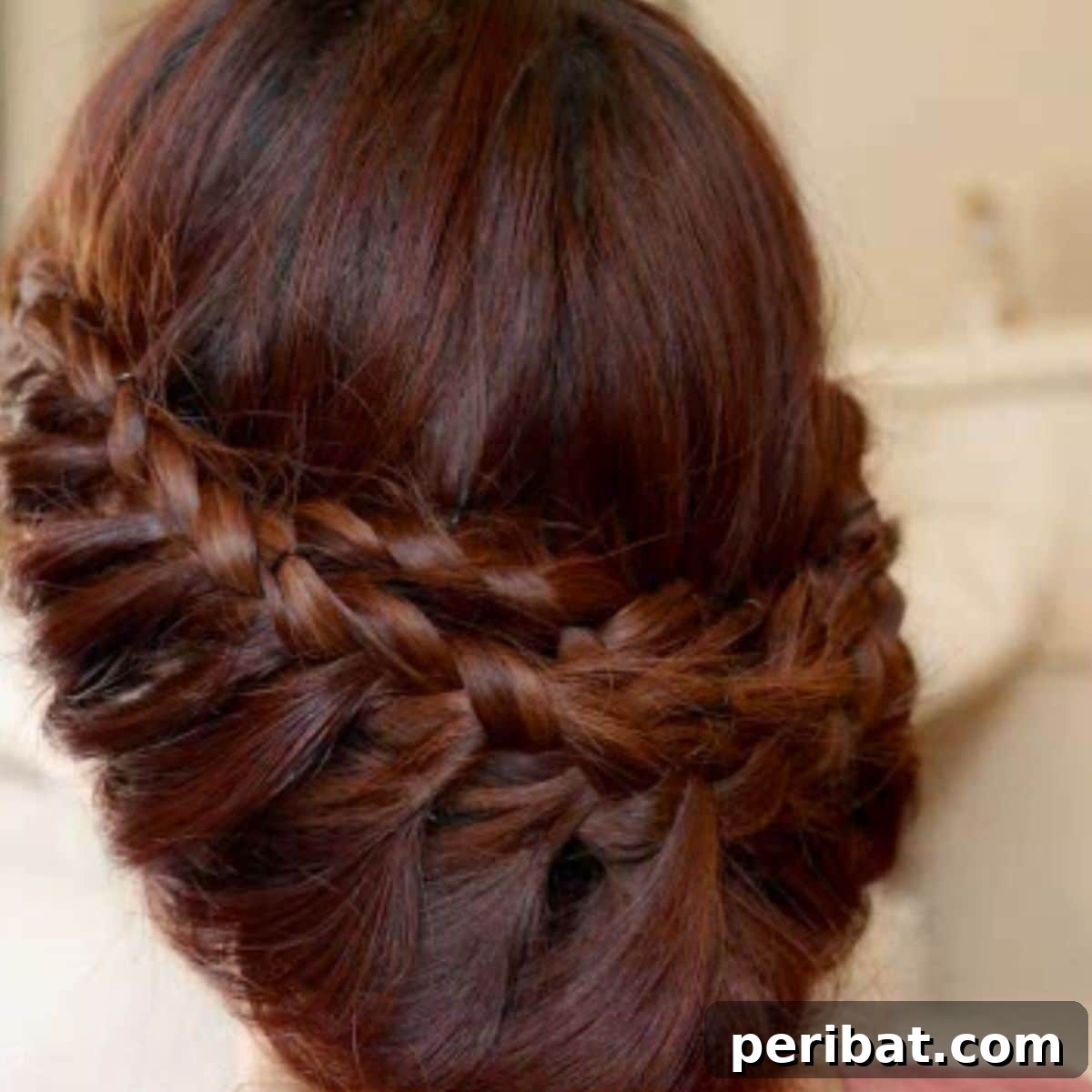featured 2204
