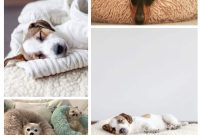 Pawsome Projects: DIY Dog Beds & Crates Your Pup Will Adore