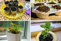 20 Creative Upcycled Seed Starter Pots to Make at Home