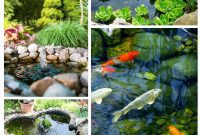 Delightful & Affordable Mini Water Gardens for Every Home