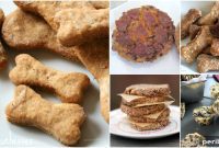 25 Tail-Wagging Homemade Healthy Dog Food Recipes Your Pup Will Adore