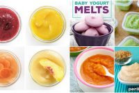 DIY Delights: 25 Affordable Baby Food Recipes for Happy Little Eaters