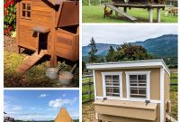 Weekend Chicken Coops: 20 Free DIY Plans for Quick Builds