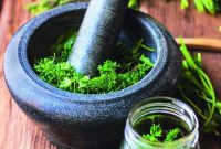Extend Your Herb Harvest: 8 Easy Ways to Preserve Herbs Year-Round