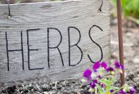 Elevate Your Garden: 25 DIY Markers for Beauty and Organization