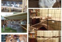 Effortless Bunny Keeping 10 Free DIY Rabbit Hutch Blueprints