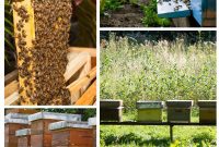 Backyard Buzz: 10 DIY Beehives to Build Now