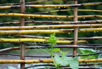 15 Must-Have DIY Plant Supports and Cages for Your Summer Garden