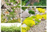 Effortless DIY Rock Gardens to Elevate Your Outdoor Style