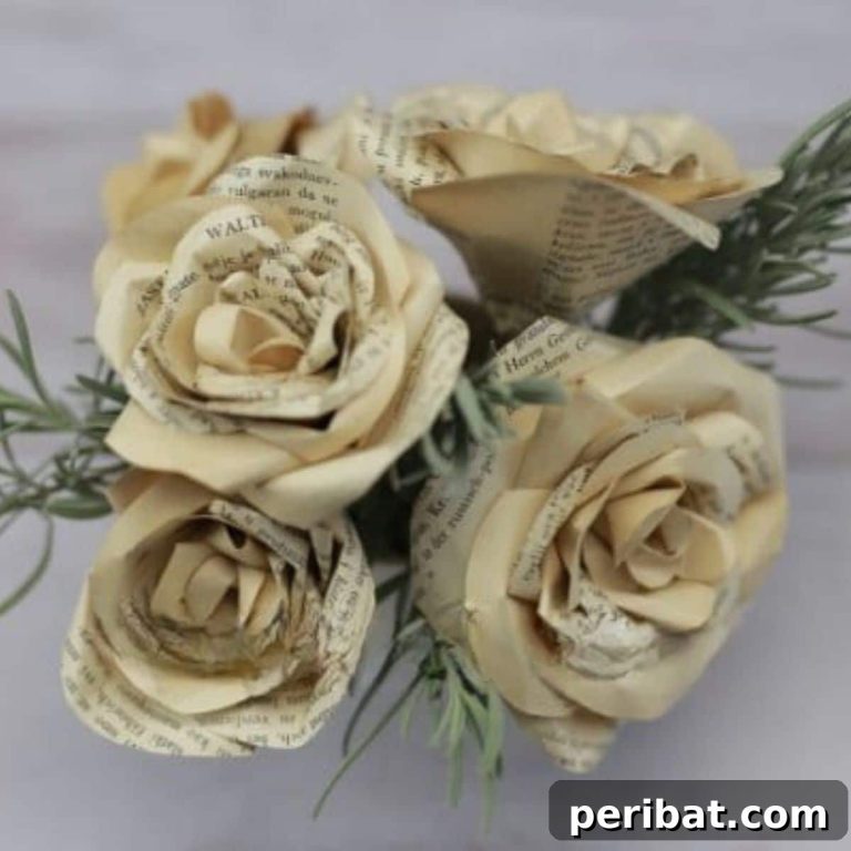 featured 47202