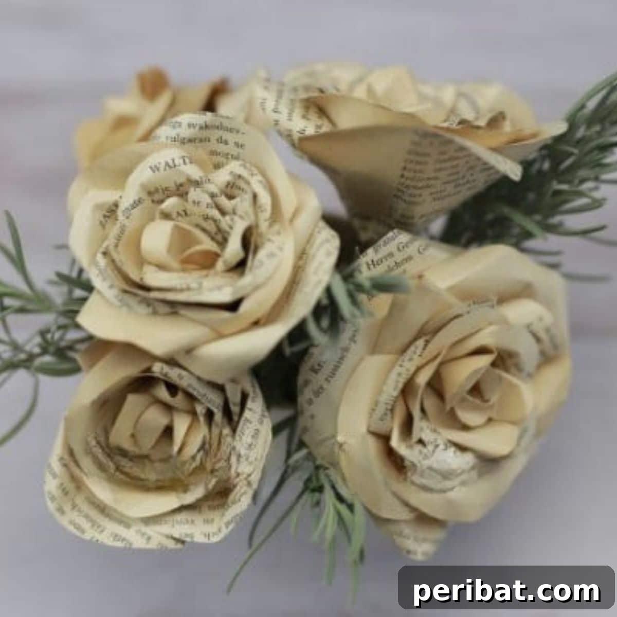 featured 47202