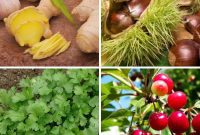Turn Scraps Into Staples Your Guide To Regrowing Food