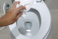 Smart Plunger-Free Toilet Fix