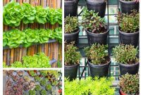 Ingenious Space-Saving Tips for Tiny Gardens
