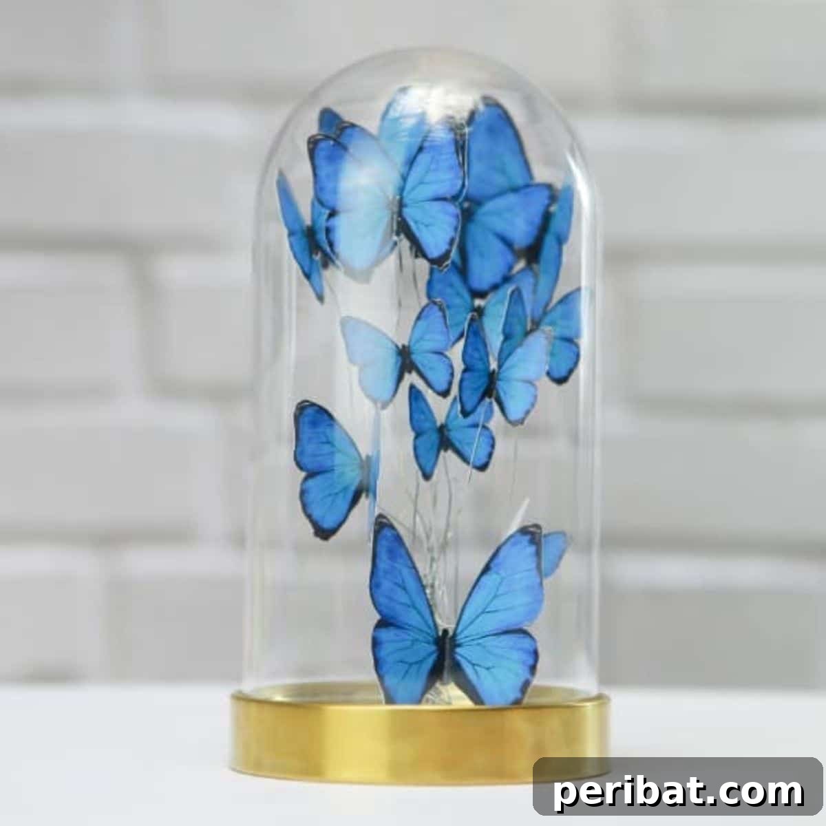 featured 53944