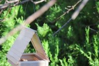 Craft a Charming Bird Feeder from Popsicle Sticks