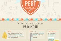 Mastering DIY Pest Control: Recipes and Seasonal Prevention Schedule