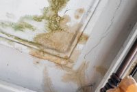 DIY Ceiling Rescue: Fix Cracks and Stains Flawlessly