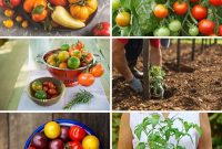 The Definitive Guide to Growing Magnificent Tomatoes