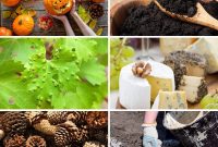 Master Your Compost Pile 100 Things to Add and Avoid