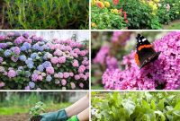 Grow Your Garden for Free: 20 Easy Plants to Start from Cuttings