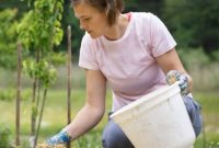 Master Mulching Types Techniques Homemade Mulch