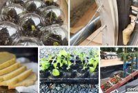 Essential Summer Hacks for a Stress-Free Season