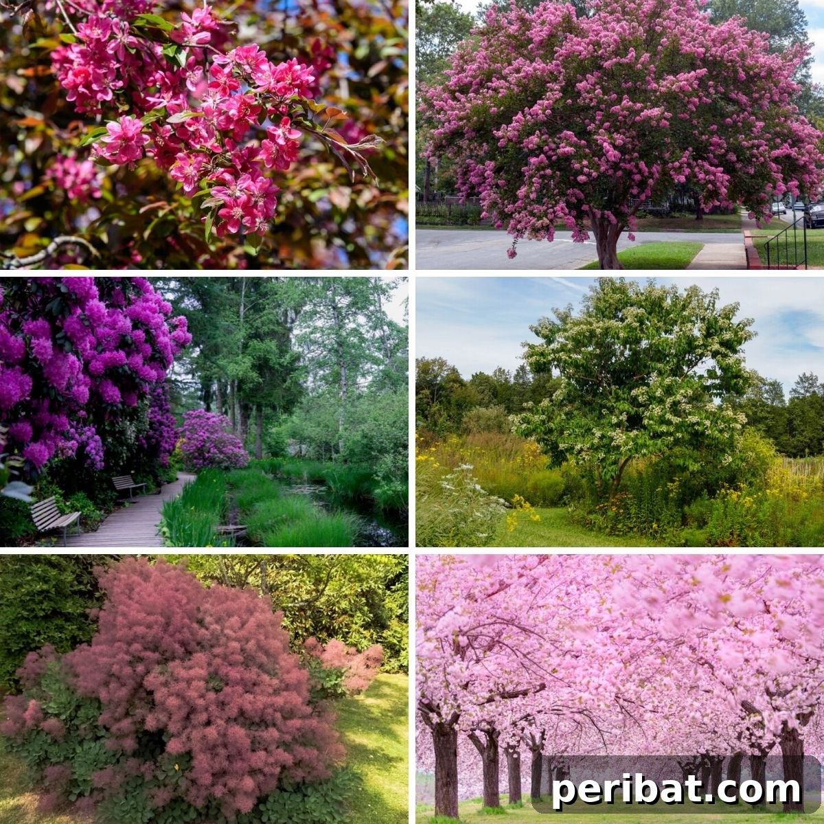 Collage photo featuring flowering trees and shrubs.