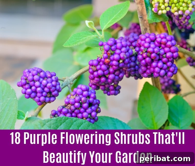 Beautyberry