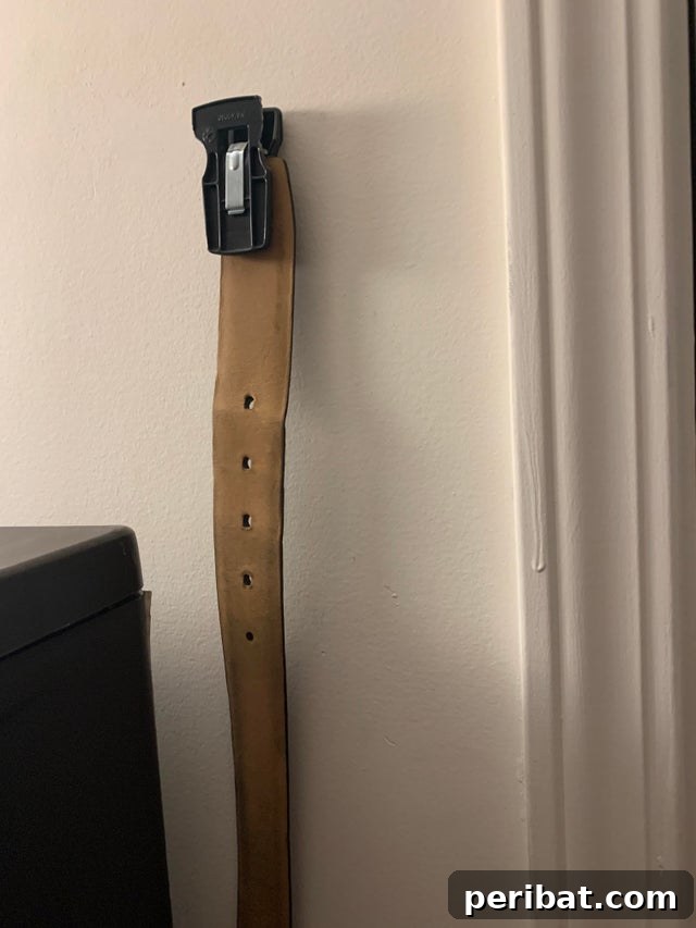 The Ultimate Command Strip Guide 75 Ingenious Uses and Application Tips 19 A belt hanging neatly on a hook mounted on a wall.