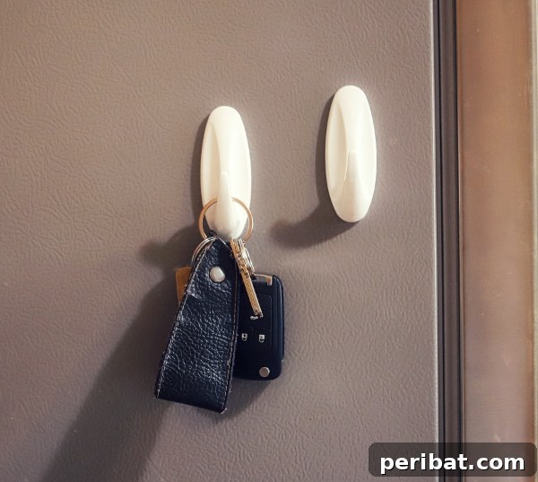 The Ultimate Command Strip Guide 75 Ingenious Uses and Application Tips 17 Car keys hanging on a hook by the door.