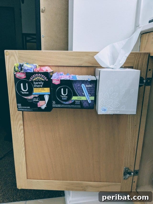 The Ultimate Command Strip Guide 75 Ingenious Uses and Application Tips 10 Feminine hygiene product boxes attached to the inside of a bathroom cabinet door.