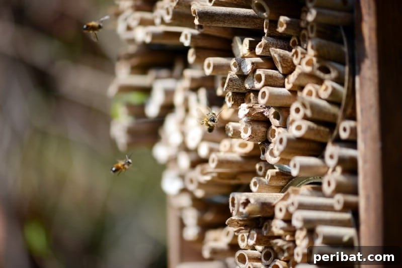 Lots of bees going home to a bee hotel.