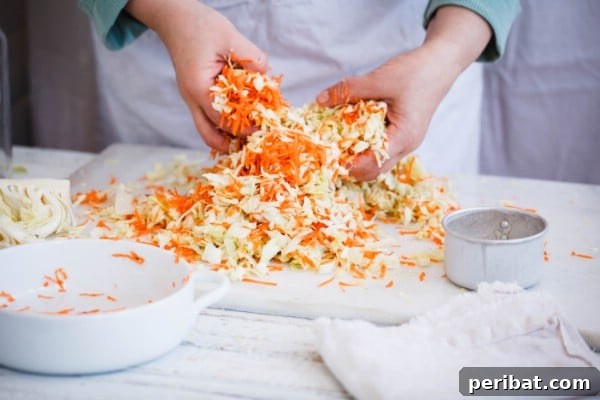 Fermented cabbage