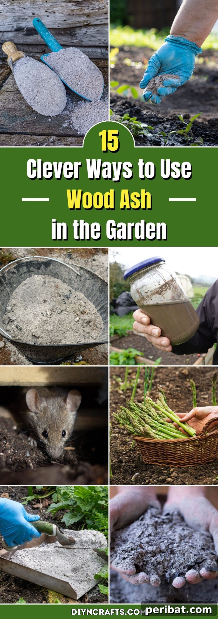15 ways you can use wood ash in your garden (tips by expert gardeners) pinterest image